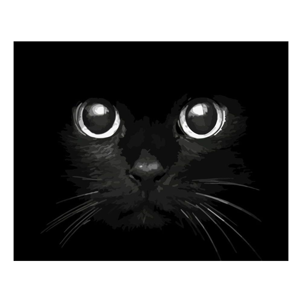 Foska Комплект рисуване по номера Котешки очи