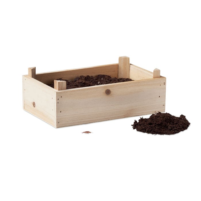 More Than Gifts Комплект за отглеждане на ягоди - Image 3