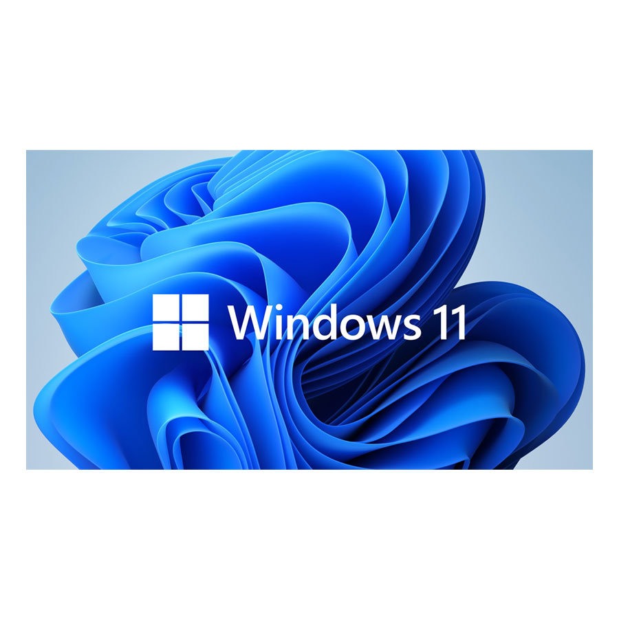 Windows 11 Pro 64 Bit