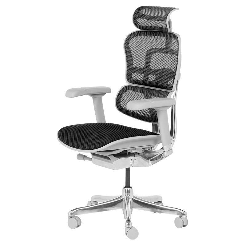 Ергономичен стол ERGOHUMAN ELITE 2 - сива рамка - черен - Image 4