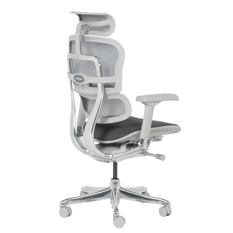 Ергономичен стол ERGOHUMAN ELITE 2 - сива рамка - сив - Image 5