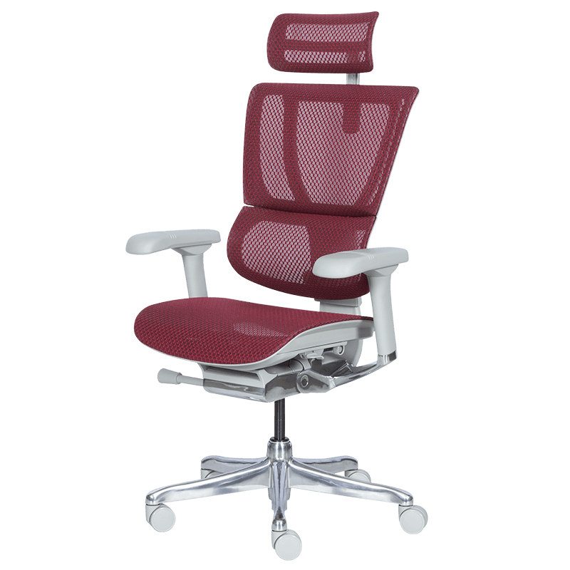 Ергономичен стол ERGOHUMAN IOO ELITE 2 - сива рамка - червен - Image 4