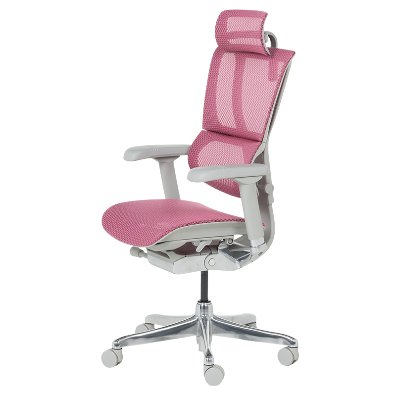 Ергономичен стол ERGOHUMAN IOO ELITE 2 - сива рамка - розов - Image 4