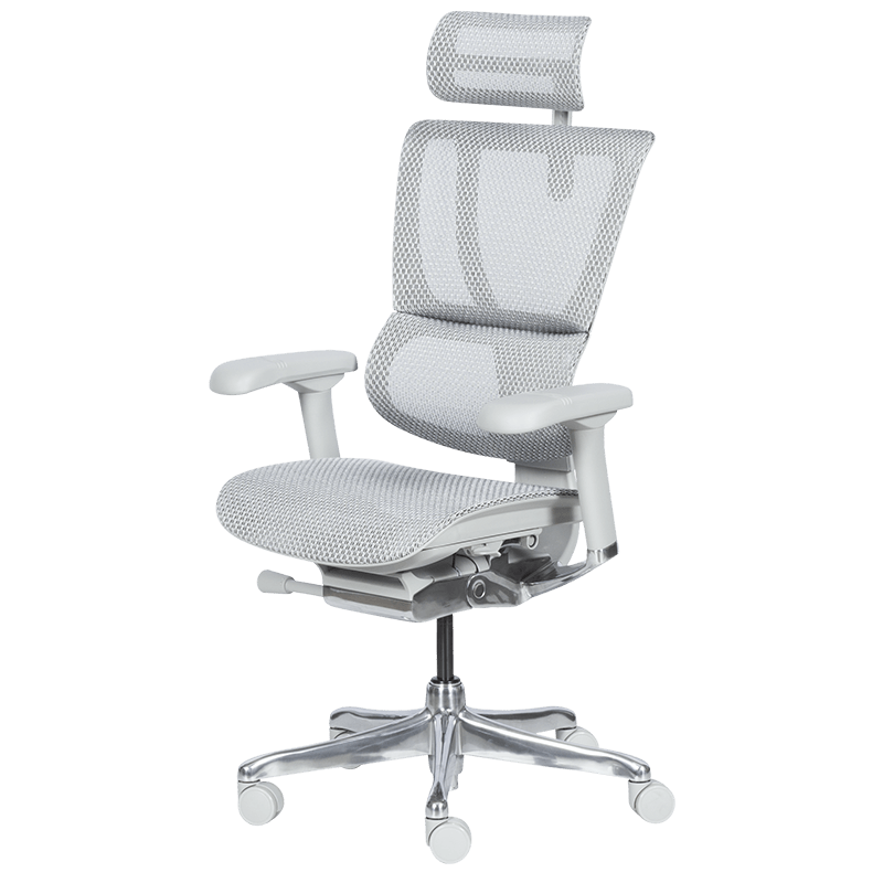 Ергономичен стол ERGOHUMAN IOO ELITE 2 - сива рамка - сив - Image 4