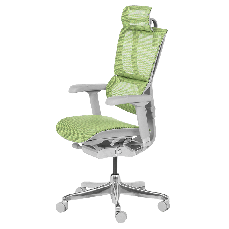 Ергономичен стол ERGOHUMAN IOO ELITE 2 - сива рамка - зелен - Image 4