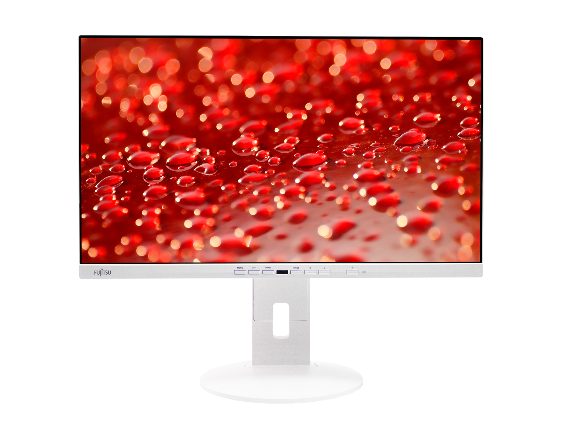 Монитор Fujitsu P24-9 TE